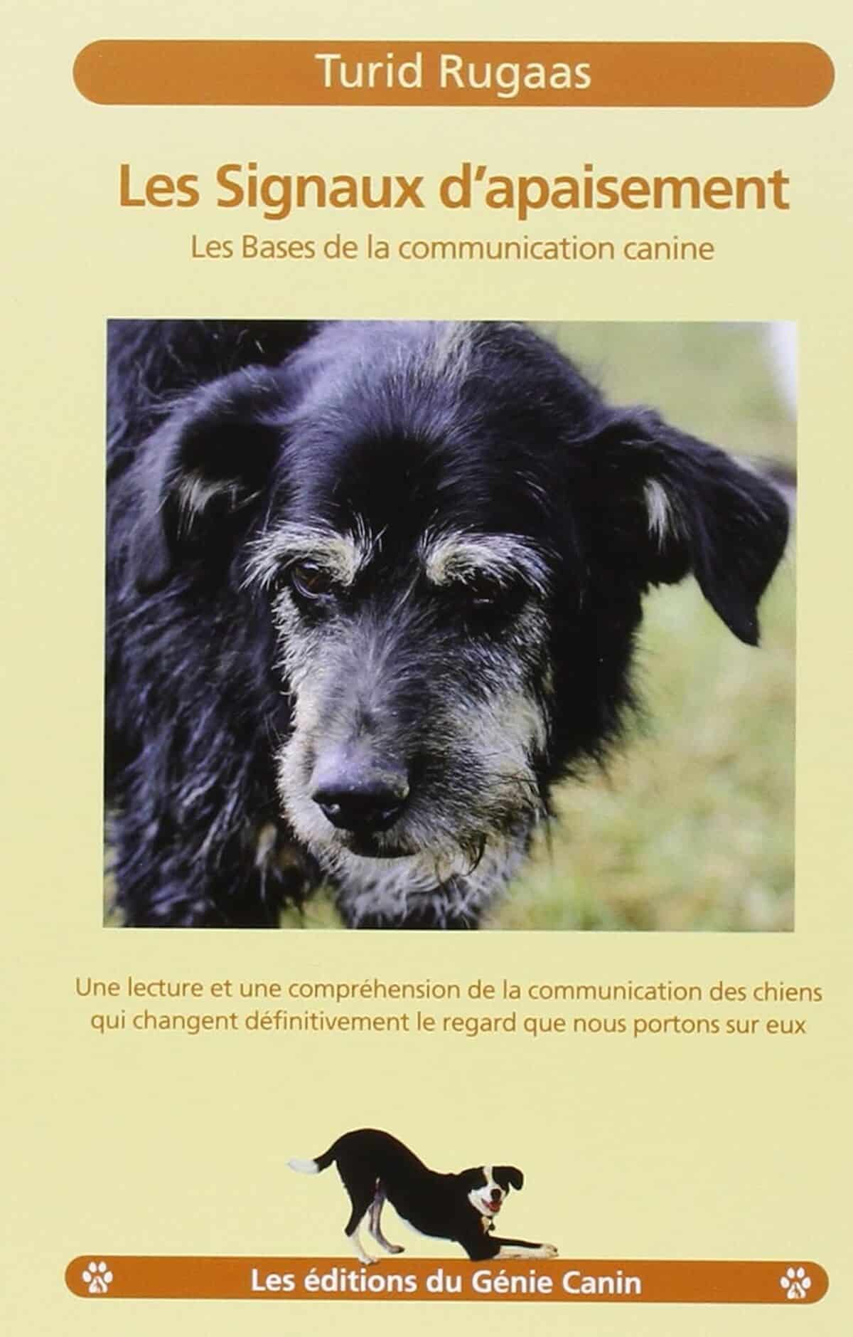 Communication canine : maîtriser les signaux d'apaisement